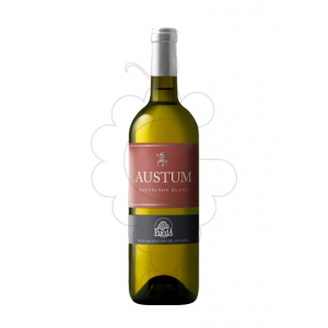 Tionio Austum Sauvignon Blanc