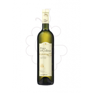 Finca la Colina Verdejo Cien x Cien Magnum