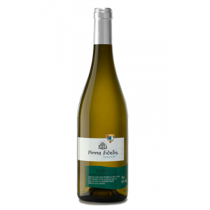 Pinna Fidelis Verdejo