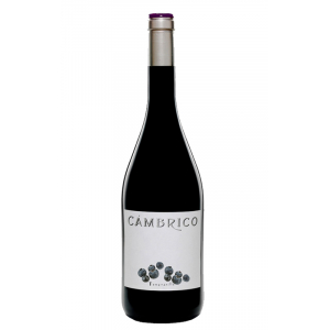 Cámbrico Tempranillo