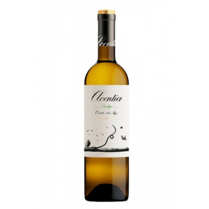 Acontia Verdejo Magnum