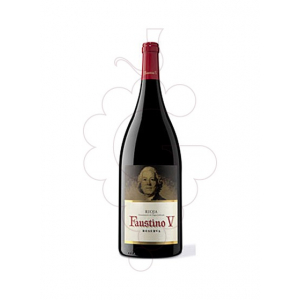 Faustino V Reserva Magnum