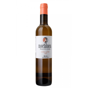 Noctiluca 50cl