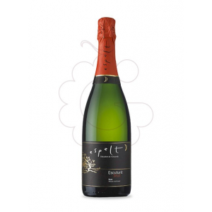 Espelt Escuturit Reserva Brut