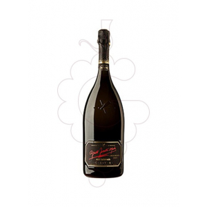 Agusti Torello Mata Brut Nature Magnum